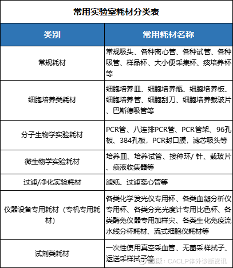 京港亚太：连接全球与未来的桥梁